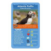 Picture of TOP TRUMPS BIRDS